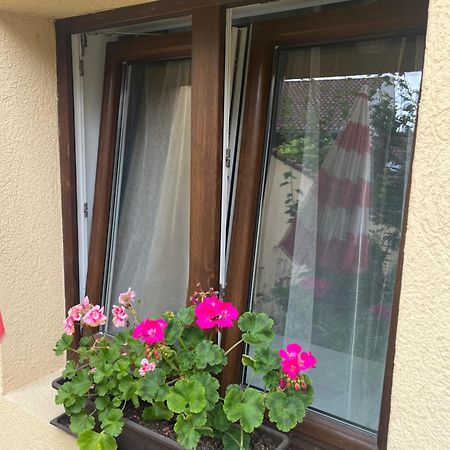 Kerti Franciaagyas Apartman Вац Екстер'єр фото